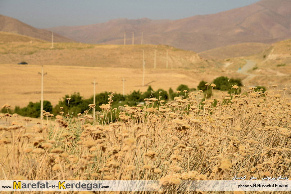 روستای پیر یونس